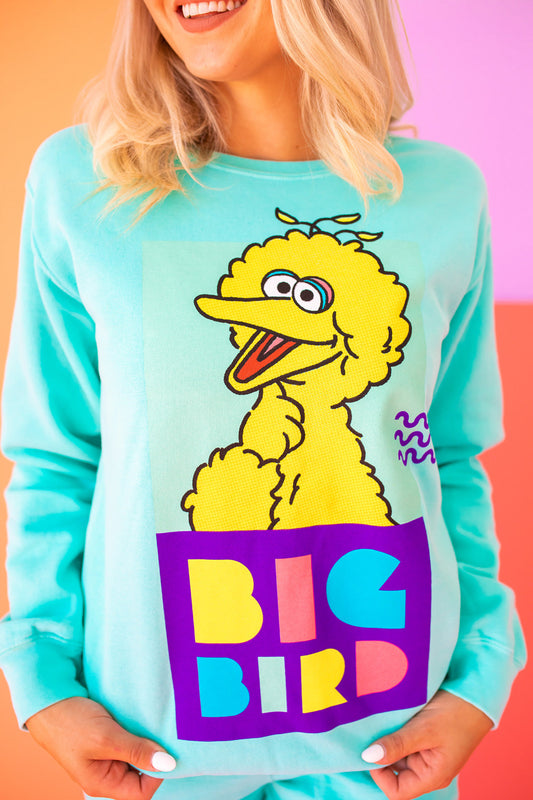 Sesame Street Big Bird Sweatshirt in Turquoise view 2 - Sesame Street Sweatshirt Toddler (top)