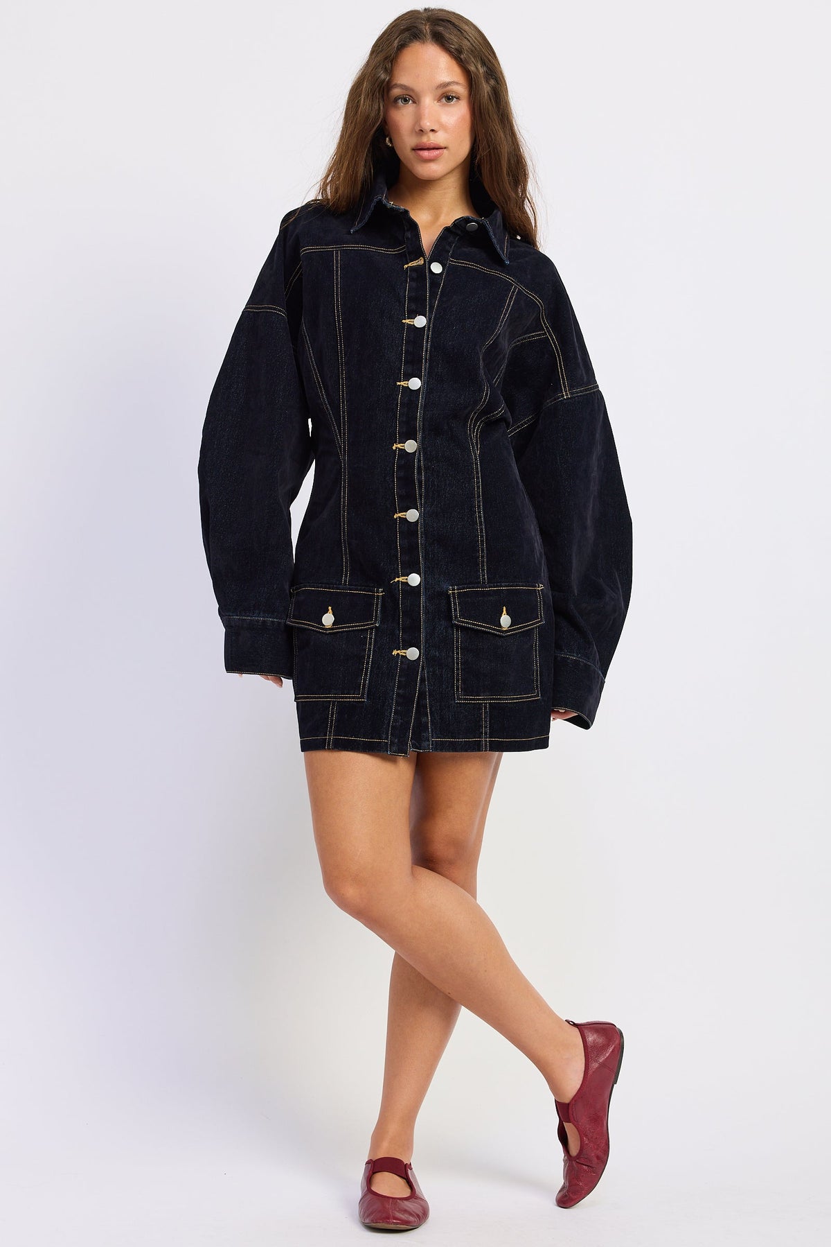 Giovanna Denim Mini Dress