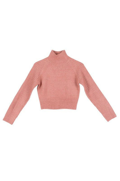 Lilou Crop mock neck sweater us.meeeshop - 