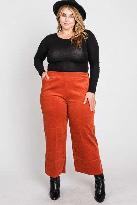 Ribbed Velvet Crop Wide Leg Pants Plus us.meeeshop - 