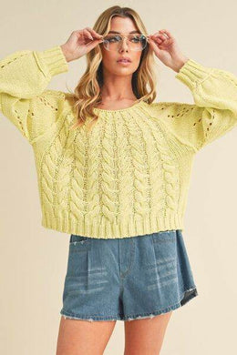 Aemi + Co Cable-Knit Openwork Round Neck Sweater