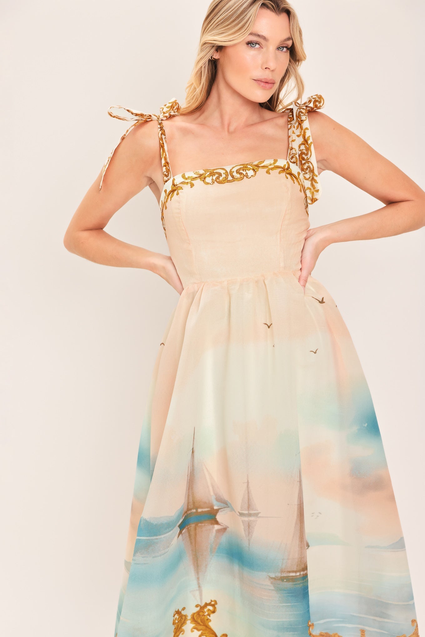 Capri Coastlin Woven Midi Dress view 4