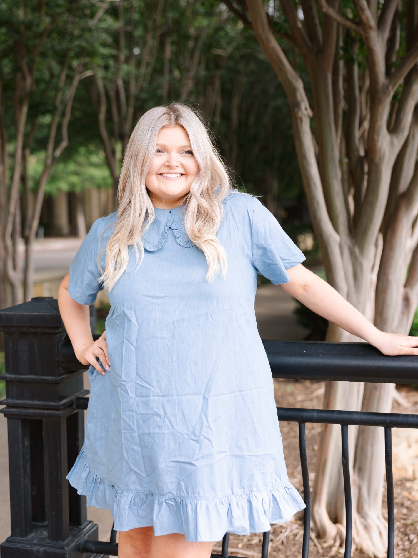 Chambray Dress with Wide Collar in Blue view 5 - Chambray Dress Big W