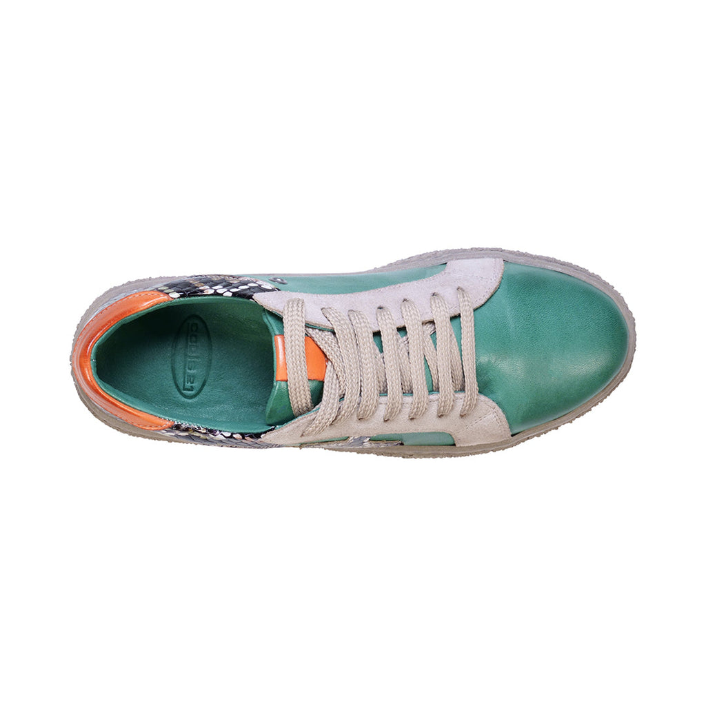 Charlee Green Snake Skin Two-tone Star Motif Lace up Sneakers Green view 3 (shoe) - charlee sneakers, c - shop at us.meeeshop