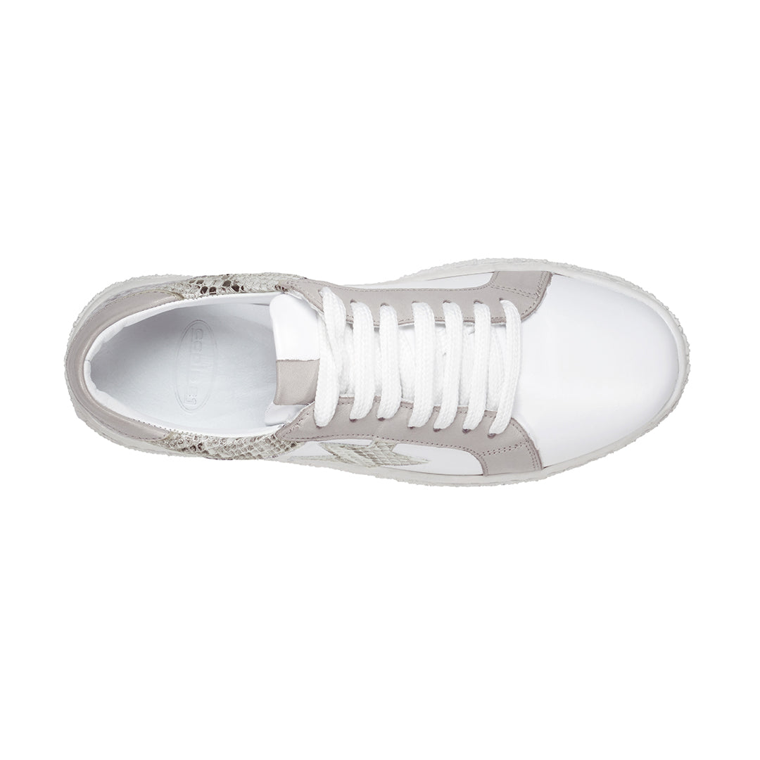 Charlee White Snake Skin Two-tone Star Motif Lace up Sneakers White view 3 (shoe) - lace sneakers, moti - shop at us.meeeshop