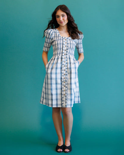 Downeast Oxford Dress in S view 2