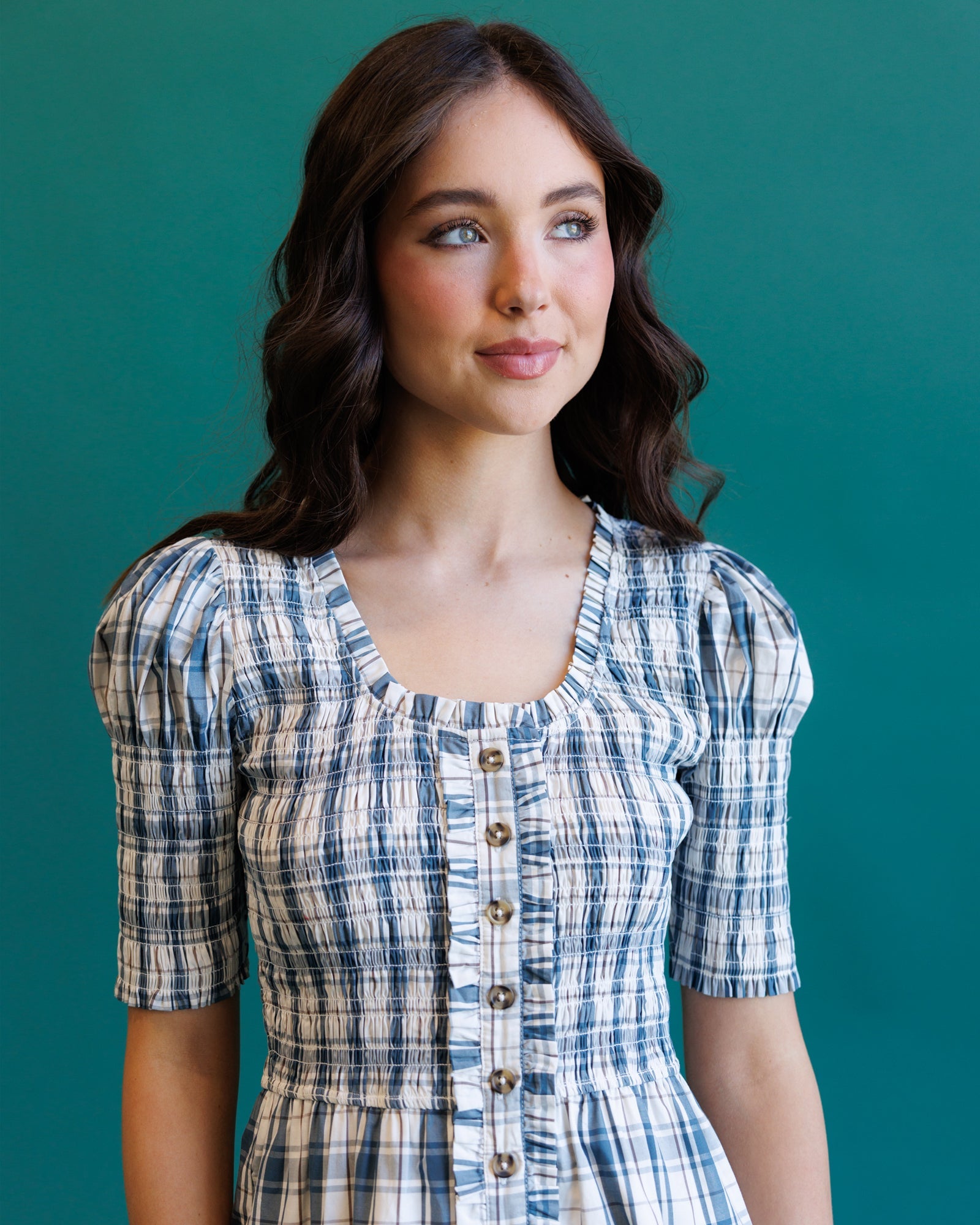 Downeast Oxford Dress in XXL view 6
