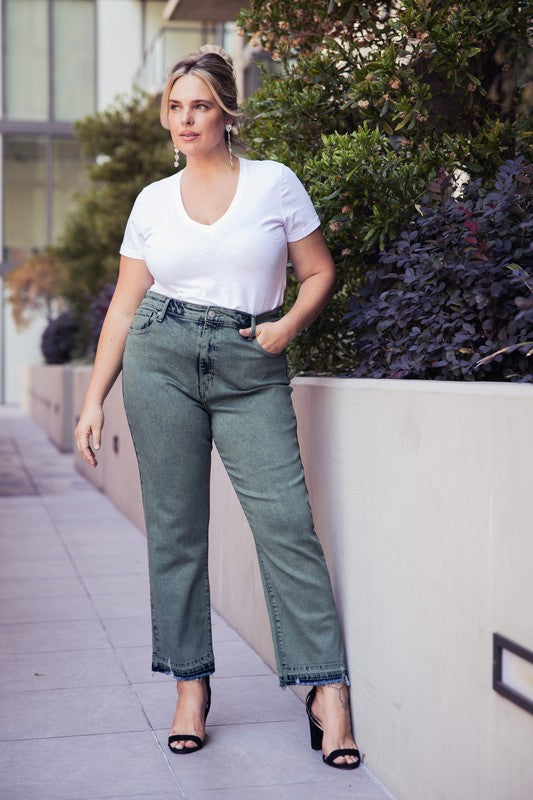 Elena plus High Rise Straight Jeans in P-16 view 2 - High-Waisted (bottom)
