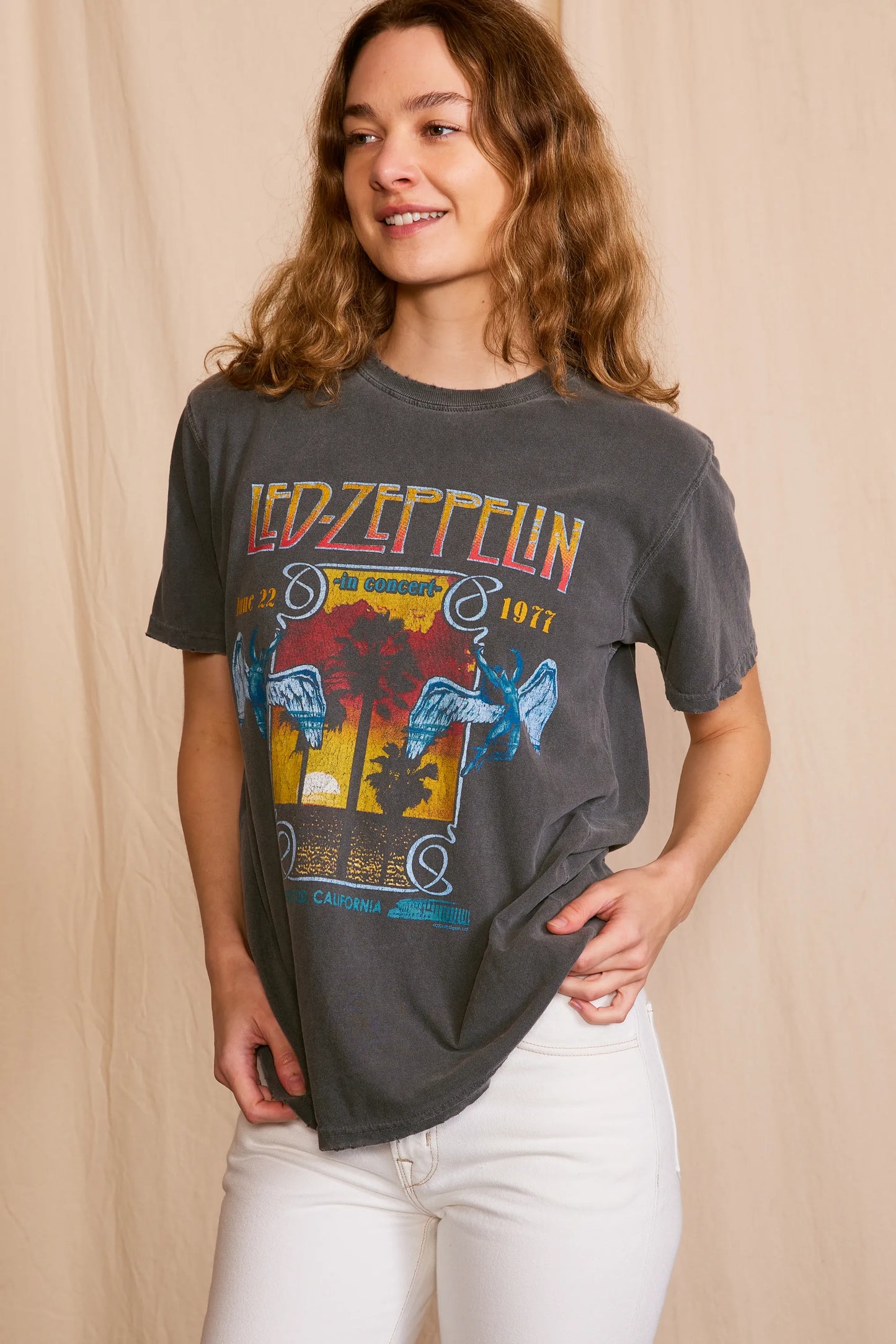 Led Zeppelin Inglewood Sunkissed Gray Tee in L view 4 - Led Zeppelin Tee Shirts (top)
