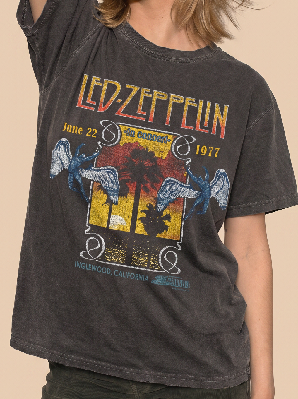Led Zeppelin Inglewood Sunkissed Gray Tee in S view 2 - Led Zeppelin 1 Songs (top)