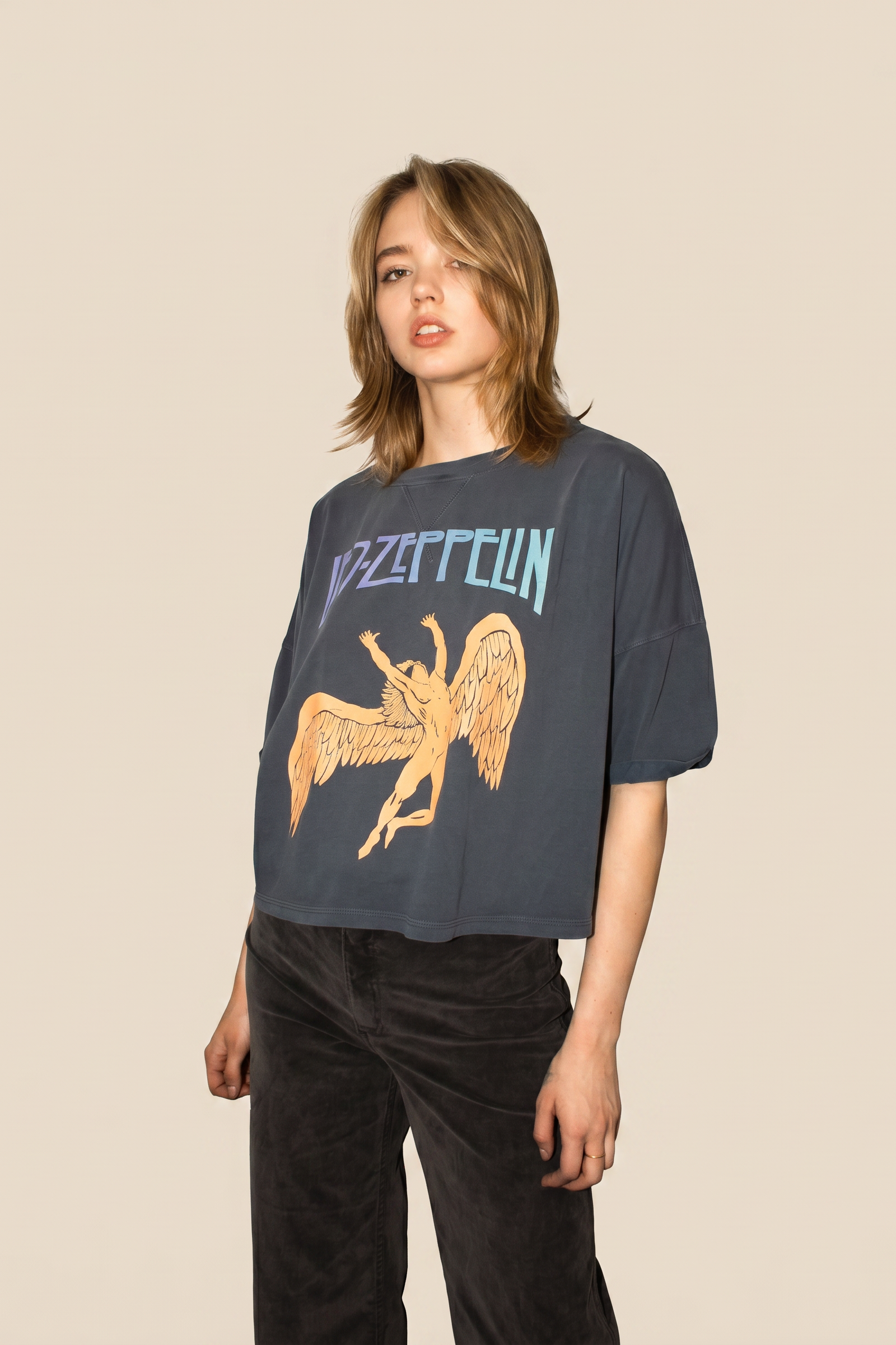 Led Zeppelin Swan Cropped Tee in M view 3 - Led Zeppelin Tee Shirts (top)