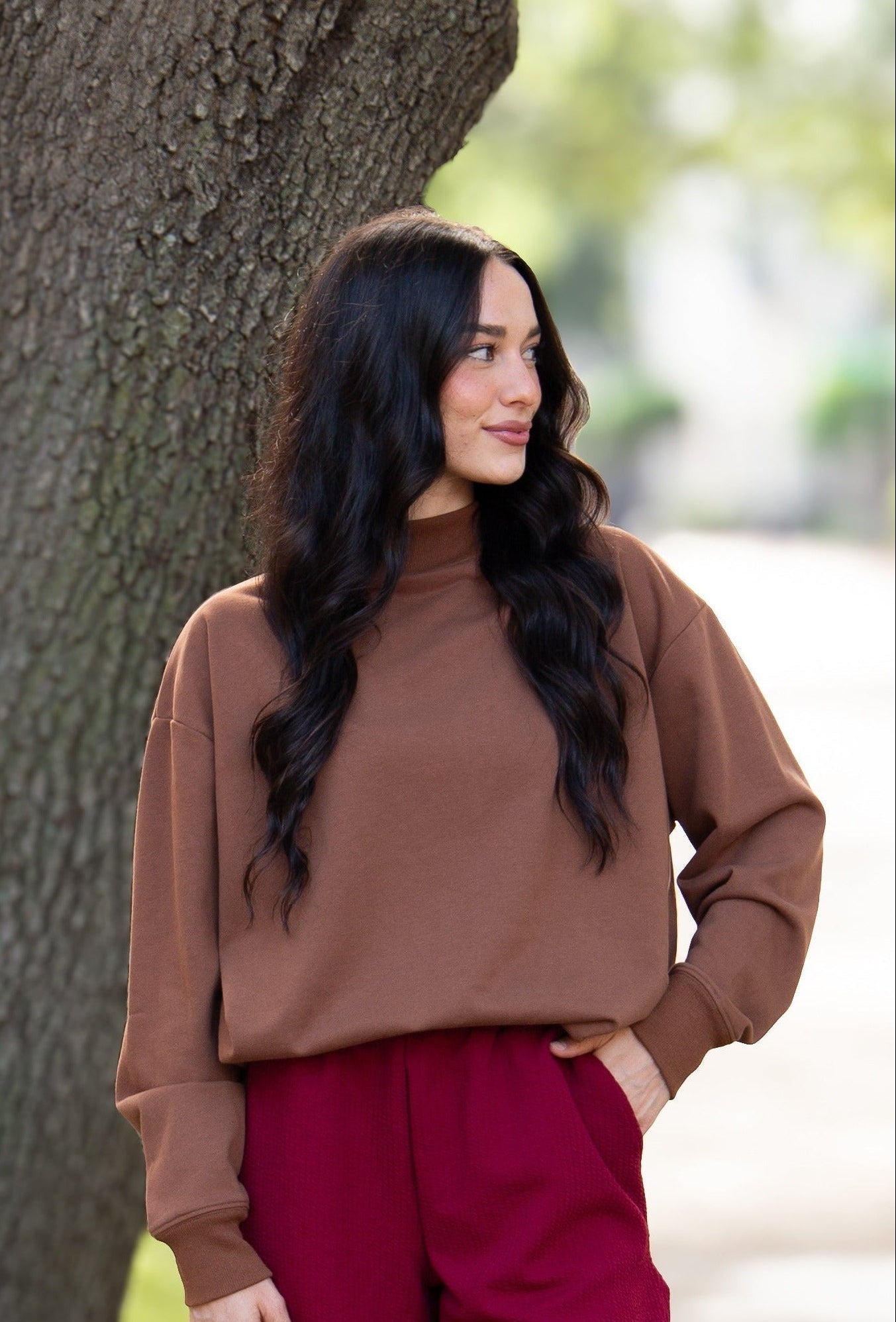 Mock Neck Sweatshirt, Brown in Brown - Mock Neck Sweatshirt Brown (top)