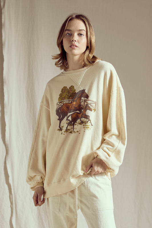 Mommy and Foal Sweatshirt in XS (top)