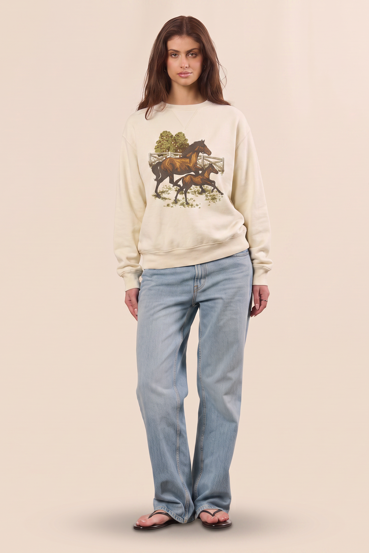 Mommy and Foal Sweatshirt XS (top) - foal sweatshirt, mommy foal sweatshirt - shop at us.meeeshop