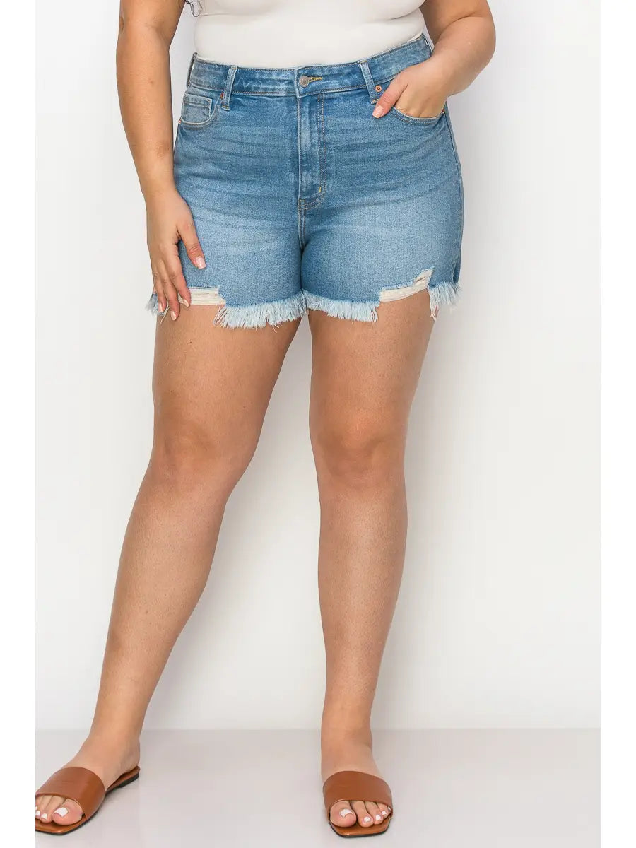 Plus High Rise Stretch Shorts in P-16 - High-Waisted - Plus High Waisted Shorts (bottom)