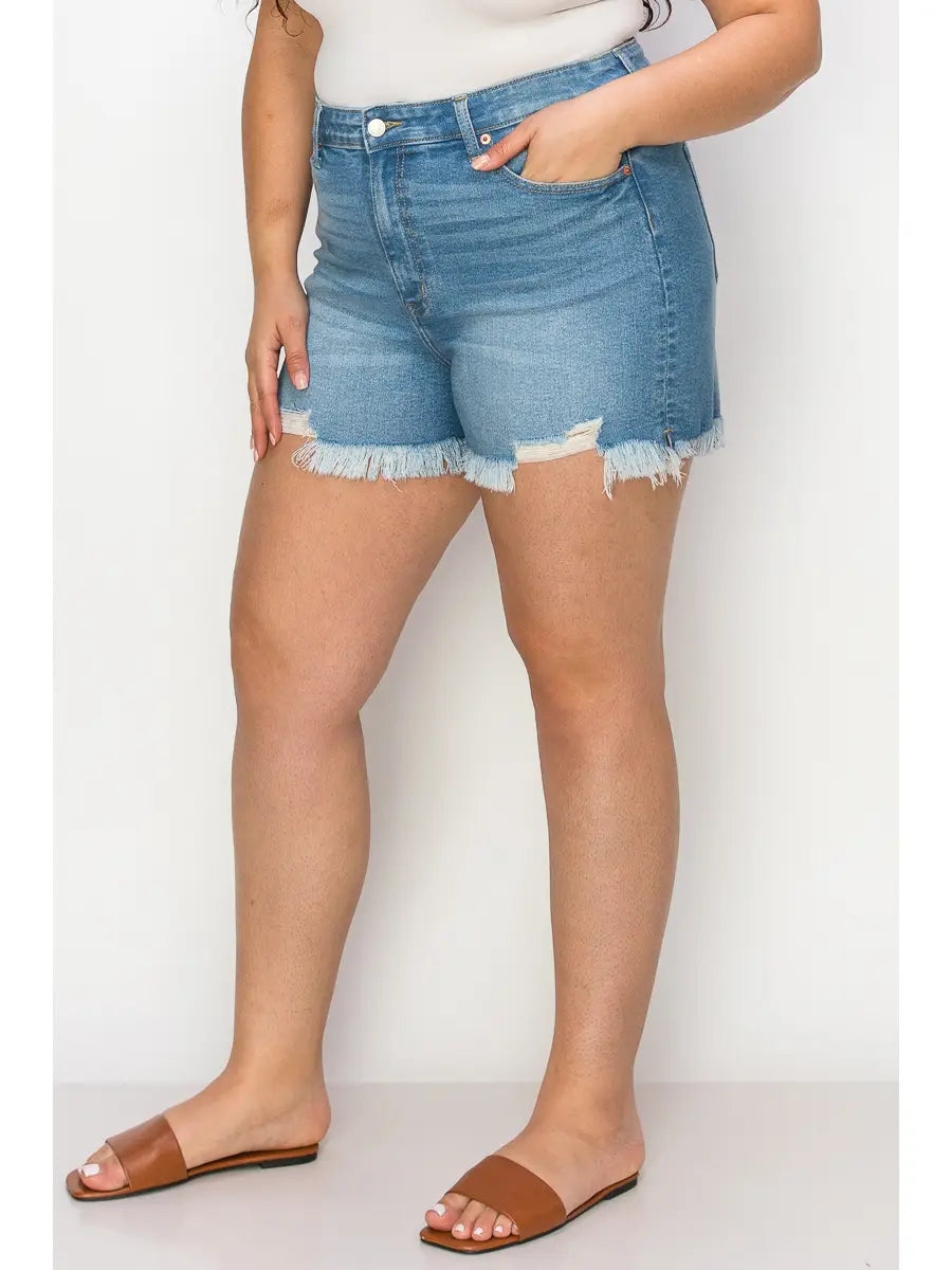 Plus High Rise Stretch Shorts in P-18 view 2 - High-Waisted - Plus High Waisted Shorts (bottom)
