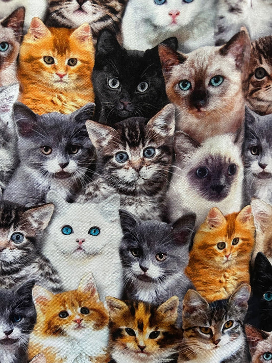 Realistic Cats Fit & Flare Dress in S view 2 - Warrior Cats Dress Up