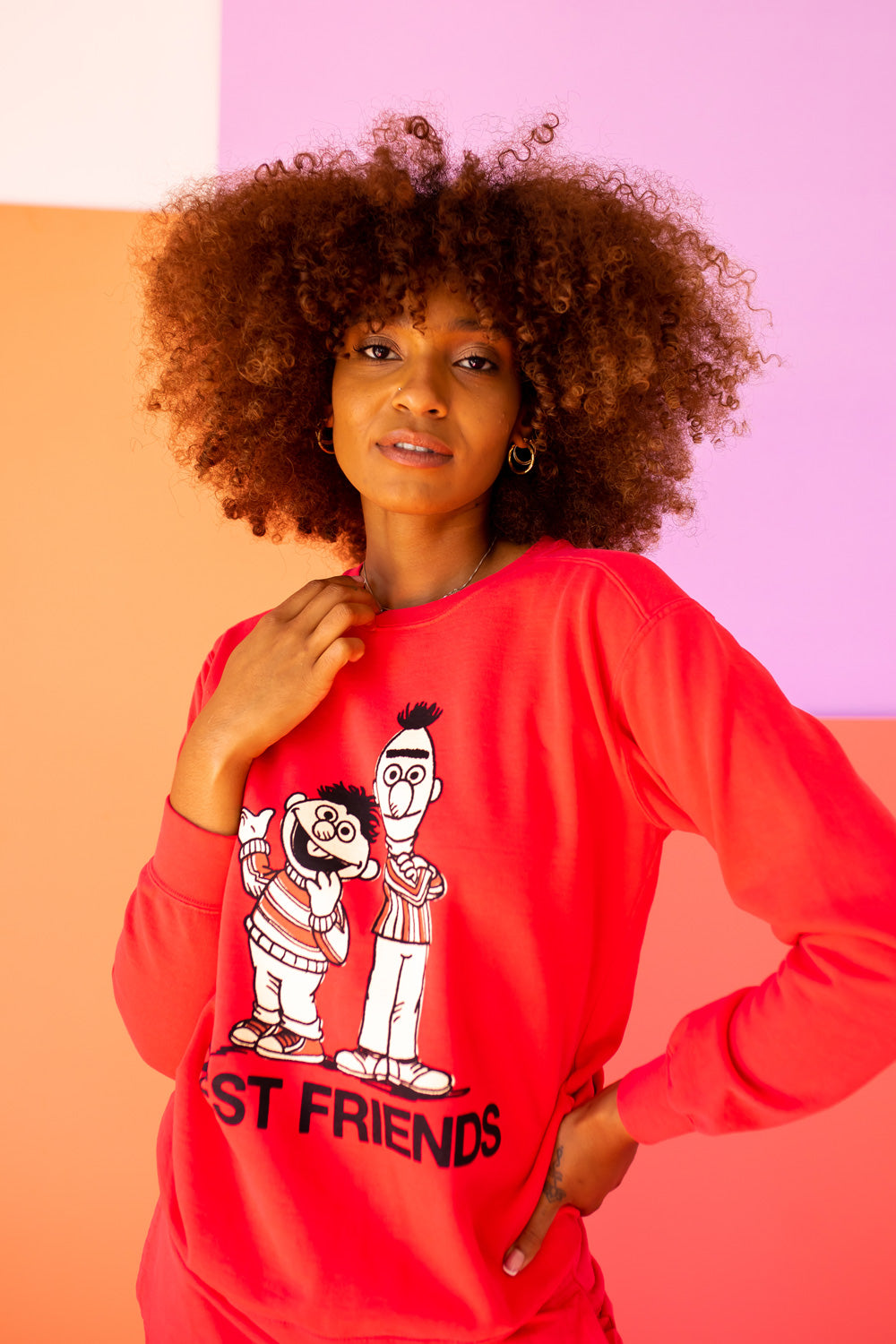 Sesame Street Best Friends Sweatshirt view 6 - Sesame Street Sweatshirt Adult (top)