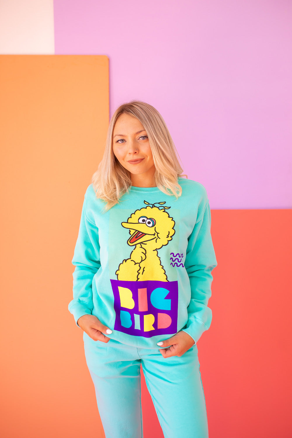 Sesame Street Big Bird Sweatshirt in S - Sesame Street Sweatshirt Adult (top)