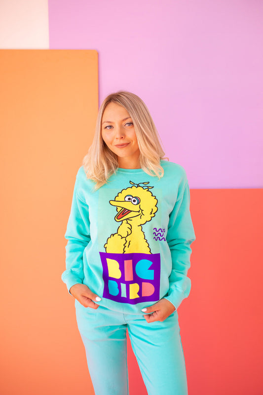 Sesame Street Big Bird Sweatshirt in Turquoise - Sesame Street Sweatshirt Toddler (top)