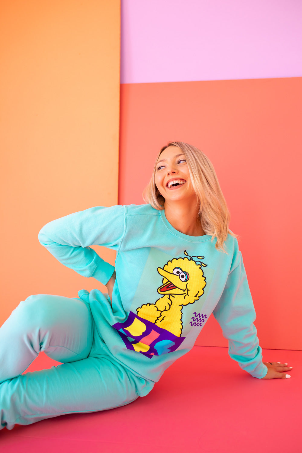 Sesame Street Big Bird Sweatshirt view 10 - Sesame Street Sweatshirt Adult (top)