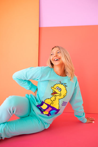 Sesame Street Big Bird Sweatshirt view 10 - Sesame Street Sweatshirt Adult (top)