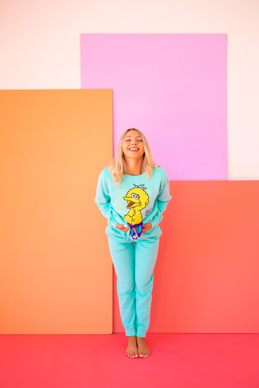 Sesame Street Big Bird Sweatshirt view 5 - Sesame Street Sweatshirt Adult (top)