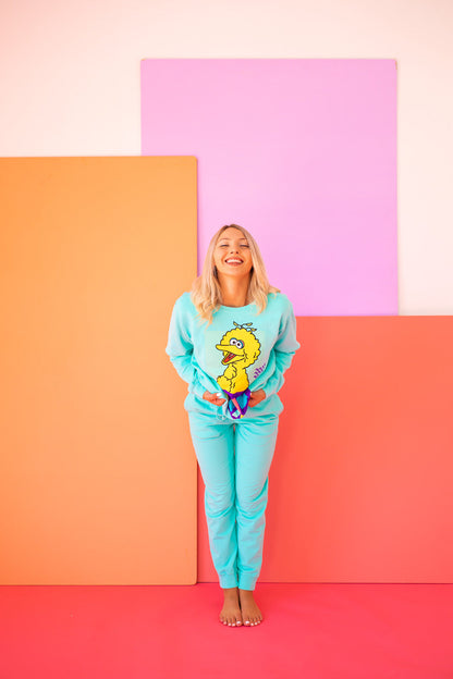 Sesame Street Big Bird Sweatshirt view 5 - Sesame Street Sweatshirt Adult (top)