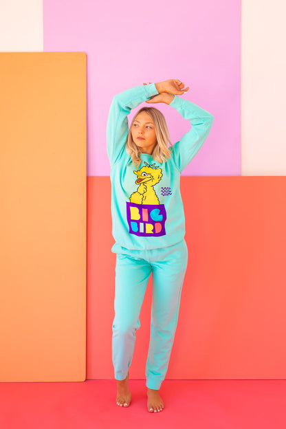 Sesame Street Big Bird Sweatshirt view 6 - Sesame Street Sweatshirt Adult (top)
