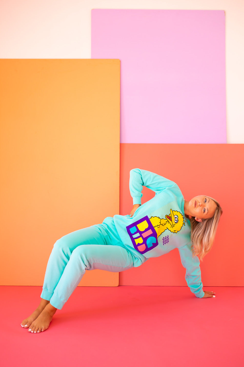 Sesame Street Big Bird Sweatshirt view 7 - Sesame Street Sweatshirt Adult (top)