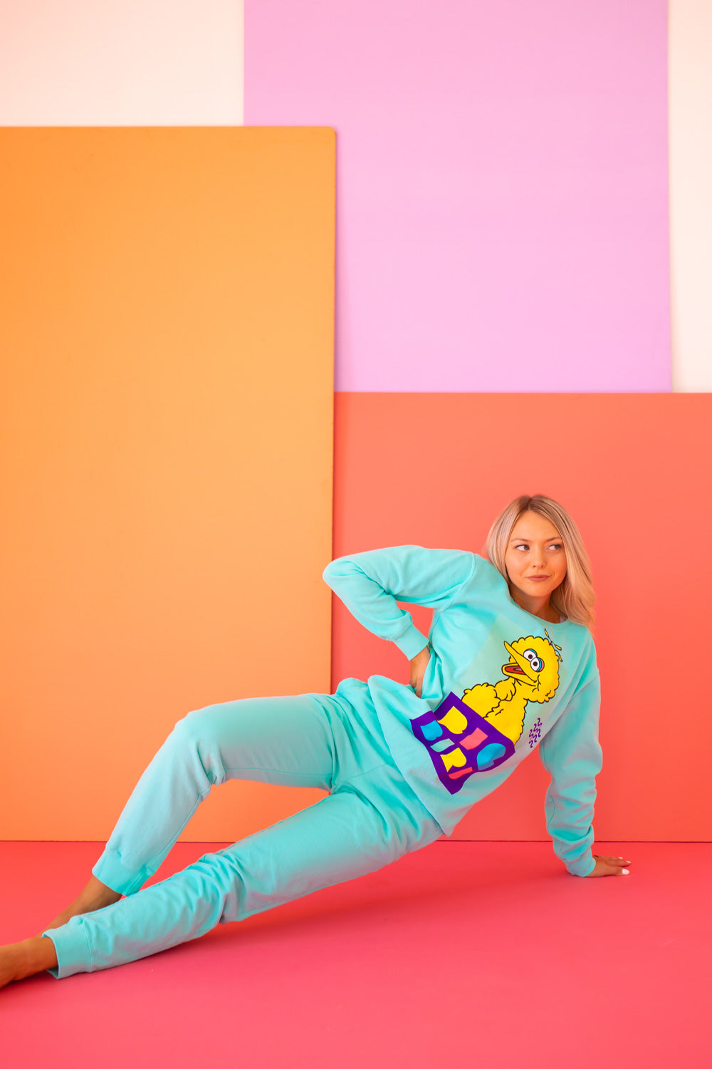 Sesame Street Big Bird Sweatshirt view 8 - Sesame Street Sweatshirt Adult (top)