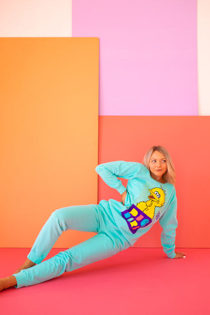 Sesame Street Big Bird Sweatshirt view 8 - Sesame Street Sweatshirt Adult (top)