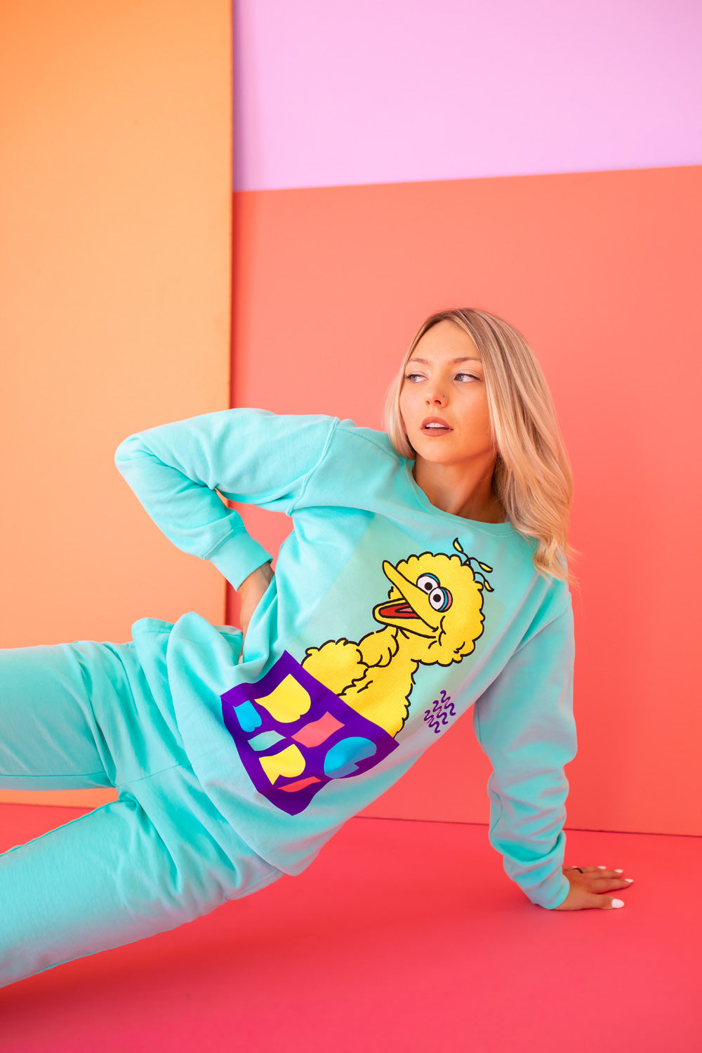 Sesame Street Big Bird Sweatshirt view 9 - Sesame Street Sweatshirt Adult (top)